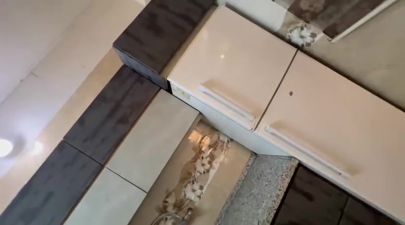 من رخصة لادمن مدينه الصدر كاونتر مفصليه تفصال مليون ونص حاليا ٣٥٠


**إذا كنت صاحب هذا الإعلان وتريد حذفه لأي سبب، رجاءا أرسل رسالة إلى الدعم الفني**