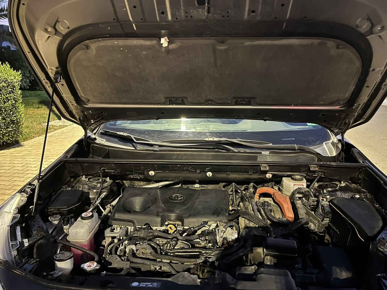 السلام عليكم 
رافور 2024 هايبرد 
الفئة SE
اللون فيراني
ضررها فقط الجاملغ الامامي الايسر راجع عل بارد قطرة صبغ ما بيها شرط مكفولة من الدعامية للدعامية 
تترقم بأسم المشتري مباشر
للاستفسار اكثر الاتصال على الرقم ***********
او على الواتس اب
مكان السيارة بغداد
