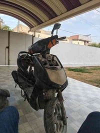 سكنس فحل مجفته جديد يرادله ترتيبات مراوس بايراني وطي فرق العنده يجي خا...