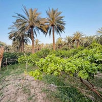 ٣ دونم • طابو زراعي • مي وكهرباء