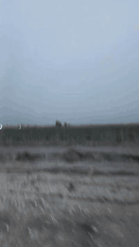 دونم للبيع الشيخ عامر ع طابو الفلوجه ***********
***********
