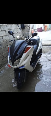 ماجسته • نضيفه • خالص ديالى