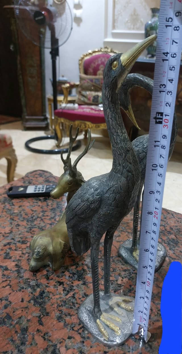 مجموعه من التحف والانتيكات لهواه جمع الانتيكات والتحف كل قطعه لها سعر والبيع ليس بالمجموعه


**إذا كنت صاحب هذا الإعلان وتريد حذفه لأي سبب، رجاءا أرسل رسالة إلى الدعم الفني**