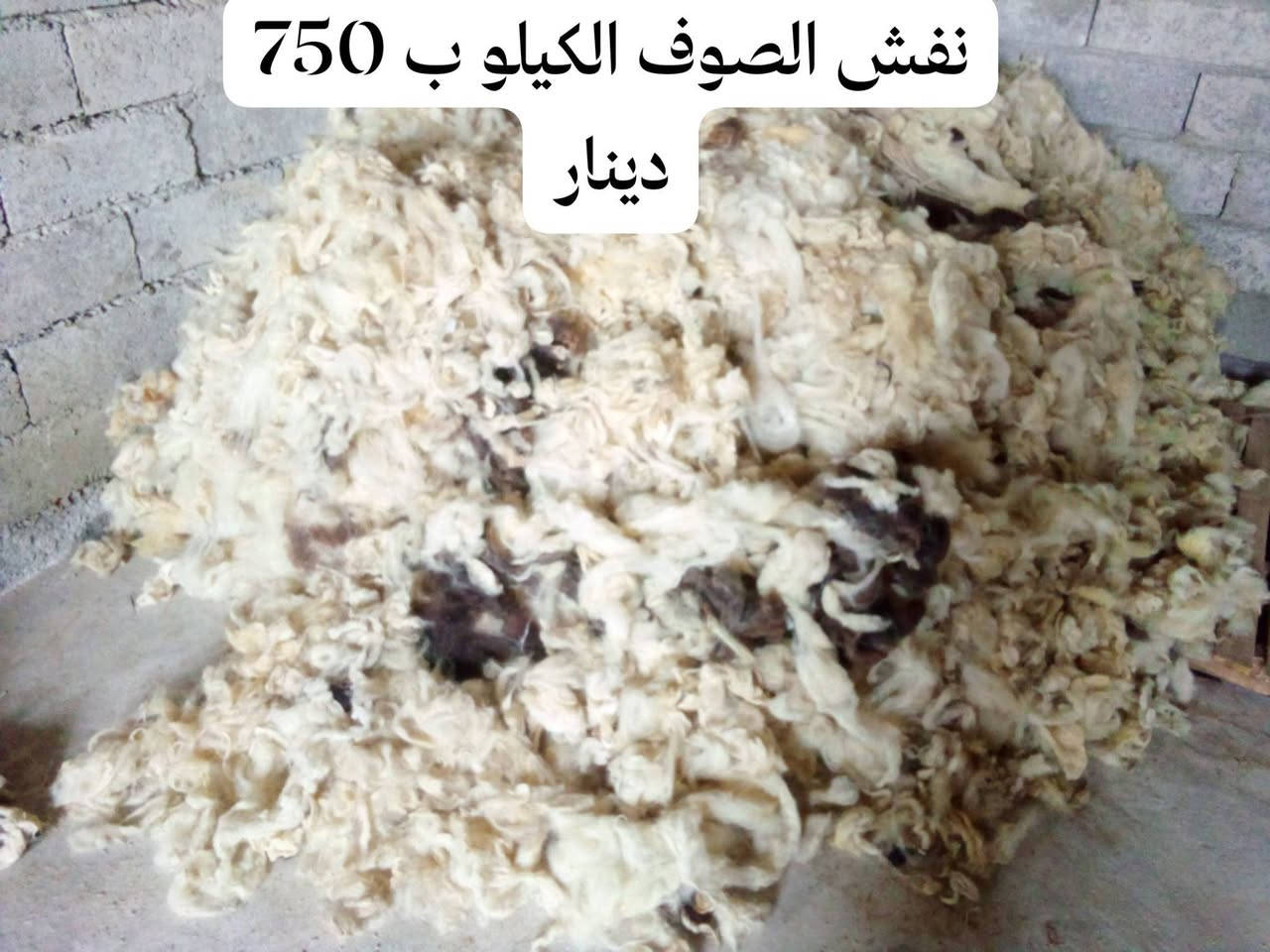 قبل الغسل وبعد الغسل                  قبل النفش وبعد النفش
سعر الغسل 1000 دينار على الجزة الواحده 
سعر النفش الكيلو 750 دينار 
الاتصال على هذا الرقم (***********)
العنوان ناحيه الشورى حي المحطه
