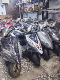 ماكس ثعلب رنبة شرط بيع شلع عدد 10 تواصل 07730771442