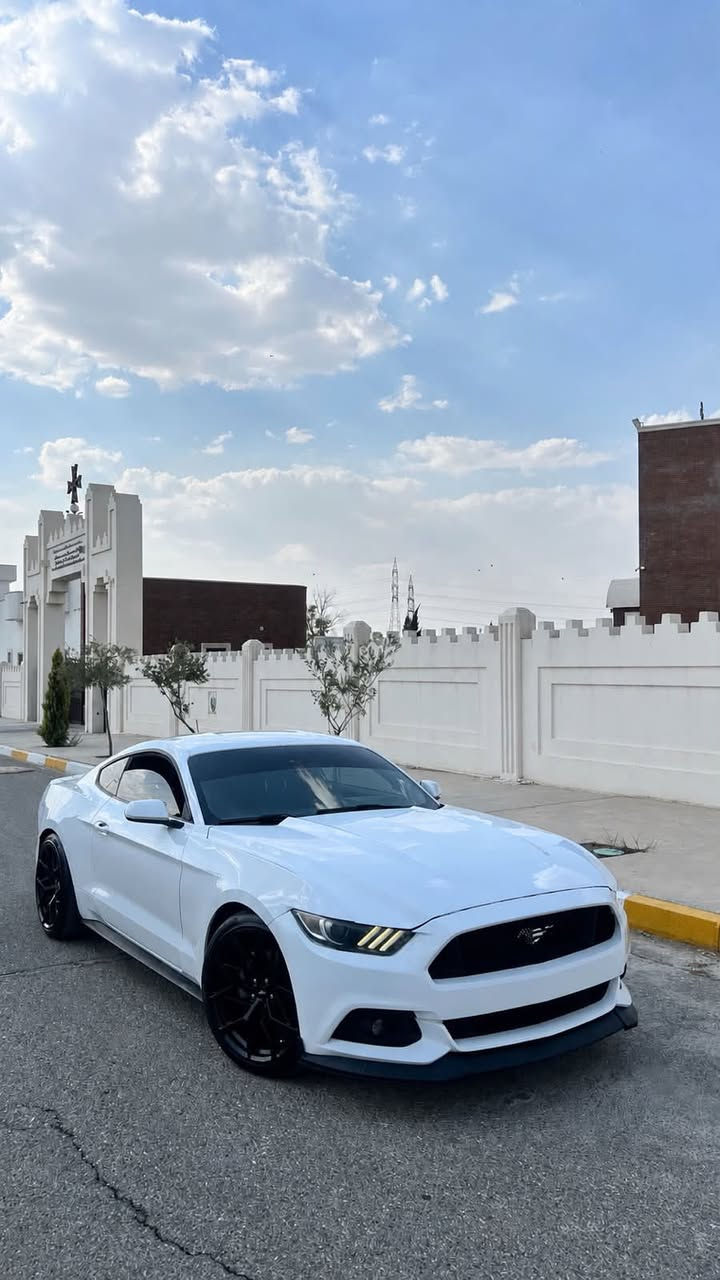 سلام عليكم
للبيع موستنك ٢٠١٦ ٦سلندر فول مواصفات 
عليها شاشة سينك ٣ وكاربلاي شغال كلة 
كيج بريميوم مال٢٠٢٠ الوان دواخل كاربون فايبر اصلي
كشن كهربائي
عليها بكلايت ابيض مال٢٠٢٠ 
ويالة ماك ون وتايرات جديدة
مشبك جيتي اصلي ولحية سرفيني
والسيارة كاملة من كلشي مسويلها سيرفس كامل 
ورقم وسنوية وهزة كلة جديد وباسمي 
السيارة بيها قطعتين ونص صبغ  ومكانين صغار تعديل بارد ايرباك ستيرن وتكم 
سعر147 وبيها شوية مجال
مكاني اربيل  
***********
***********

