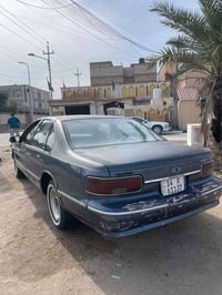 دولفين • ١٩٩٣ • بصرة زبير