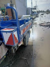 ستوته ديون البيع موديل 2016 وراق صوليه ملون 250وبيه مجال حك الجيه رقمي...