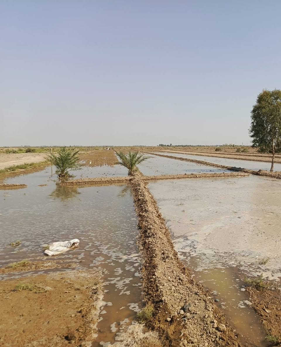 تبارك الرحمن السلام عليكم كاع للبيع ثلاثه دوانم طابو زراعة عقد 17كل الخدمات متوفره  بيه تبليط للباب مكان الكاع كطنيه متوفر بيه ماء رساله وكهرباء وشراي يتصل ***********
