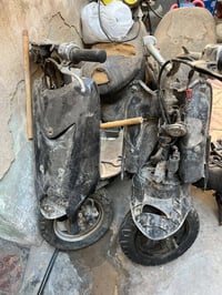 عصفوريات • عدد ٢ • عاطلات