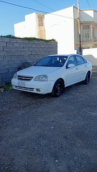 ٢٠٠٥ • مصبوغة • العزيزية