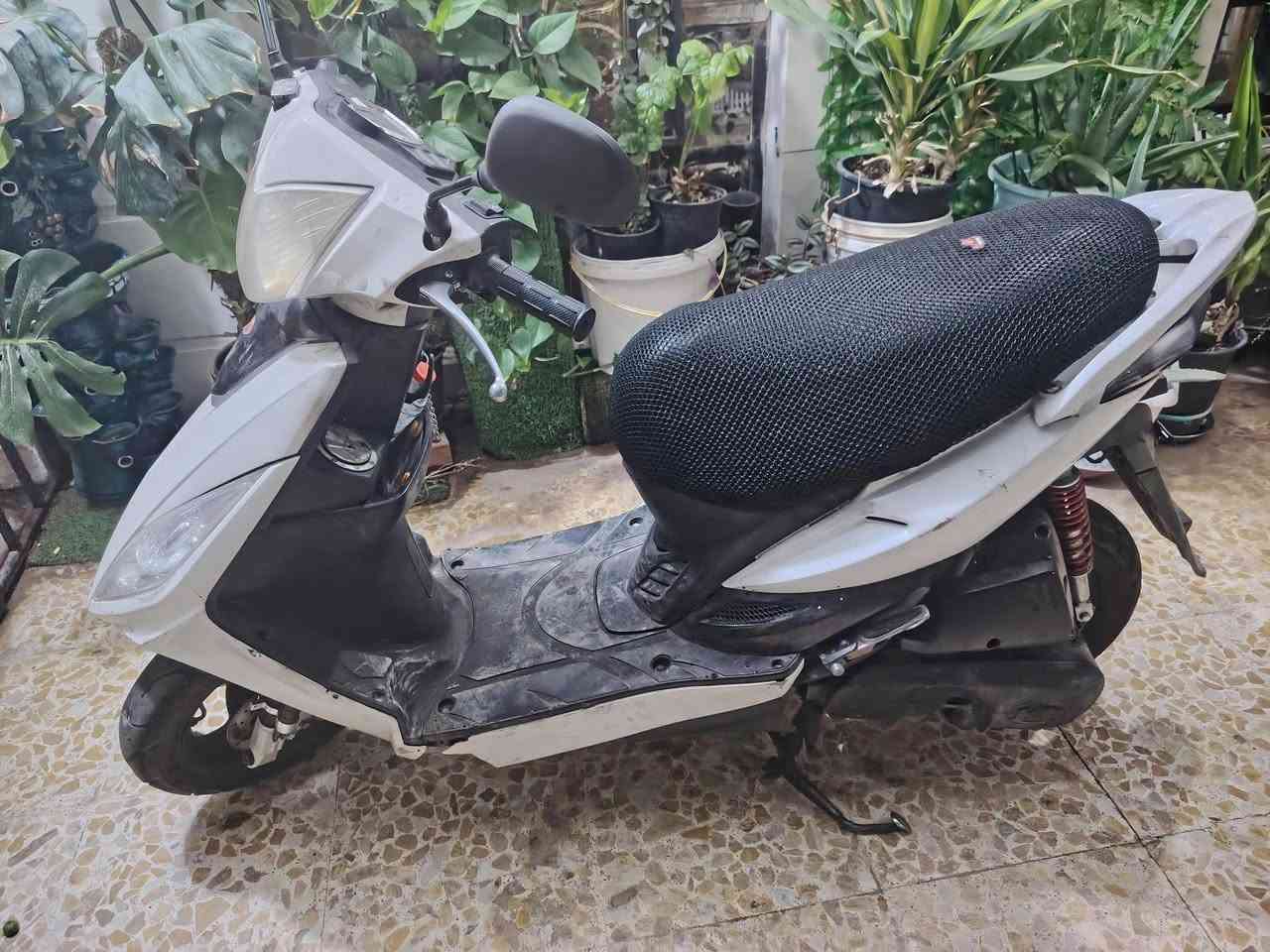 دراجة كايمكو نظافه مثل ما موضح بالصور كهربائيات شغاله  محرك صوته ناعم دراجة حلوة سعر ٣٠٠


**إذا كنت صاحب هذا الإعلان وتريد حذفه لأي سبب، رجاءا أرسل رسالة إلى الدعم الفني**