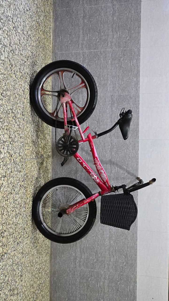متاح
بيسكل BMX  (بي أم اكس) البريك بالبايدر للخلف السعر (40) الف بي مجال / بغداد العبيدي
هـ  ***********
لايوجد توصيل

