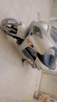 موتوسيكل • فورس