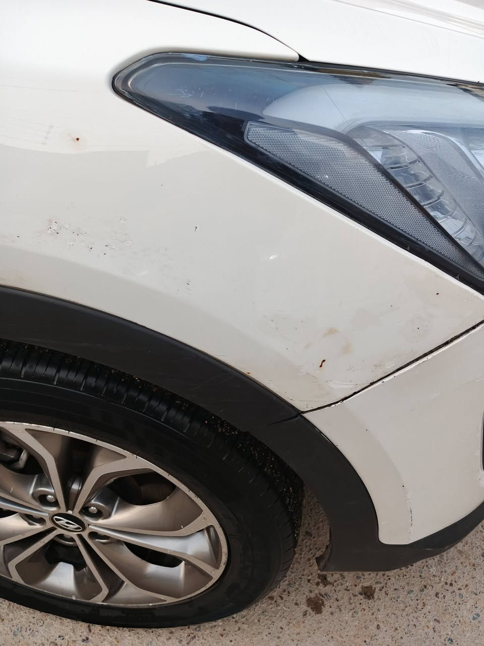 سلام عليكم
سنتافيا موديل 2013 خليجي مكفوله من الضربه و تبديل بيهه ملاحظات بسيطه موضحه ب تصوير 7 راكب محرك 2400 ماشيه 146 باقي الموصفات معروفه السعر 160 بيهه مجال مكان بغداد الزعفرانيه الشراي يتصل 
***********
