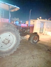 مكينة بلاروس • ٢٠١٣ • المجر الكبير