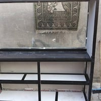 جديدة • المثنى • ١٫٦٠م×١٫٩٠م