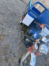 فحل عالي • موديل 21 • دلعباس