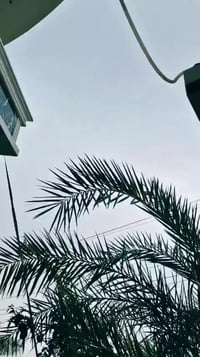 سكنر • اربعة كير • ٢٠٢٥