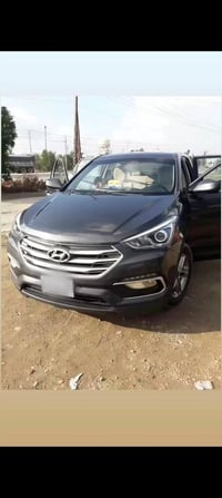 سنتافي سبورت • ٢٠١٨ • وارد امريكي