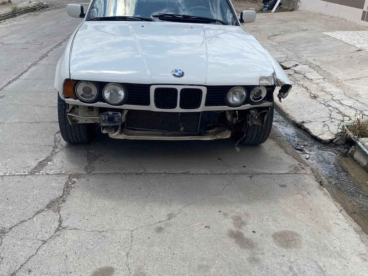 للبيع او مراوس بزعره/سعر 37 
باقي التفاصيل اتصل /***********
