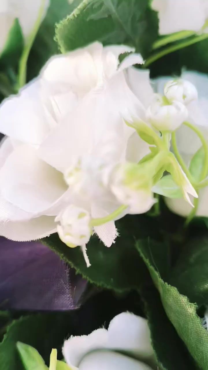 #مجمع عباس مندوب لتزيين سيارات الاعراس والكوشات والجوادر
العنوان
ذي قار
قضاء الفجر
شارع الشطري

***********
