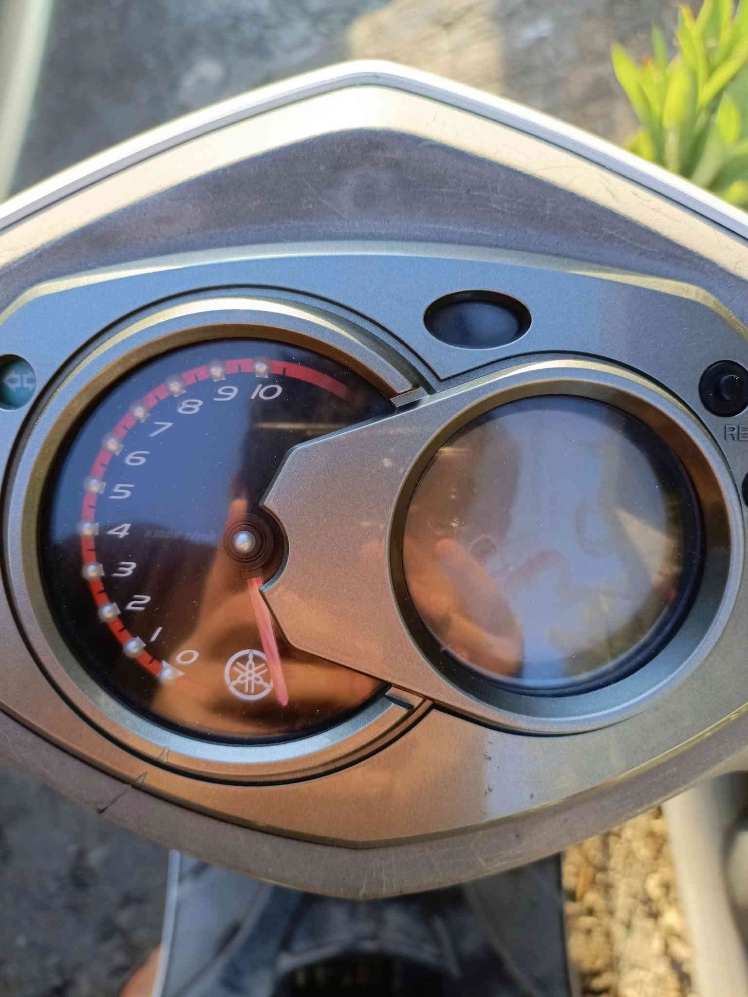 السلام عليكم دراجة سكنس فحل كابريتر صارله سبوع نازلة من الرمبة زيرو ملحة ماشية (19 الف) بس وكالة شرط  الدراجة قبق كلج ممفتوح مكفولة كفالة عامة جيب كوستر مال فيترية وتعال السعر مليون 200 الف وبيه مجال للشراي وذا معجبك السعر تلكا الاحسن سوك كلشي بي وكلشي بسعرة العنوان (بغداد) رقم (***********)
