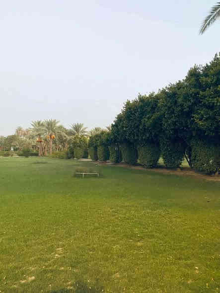 😍 ( مدينة بابل الاثرية) 😍
🌷🌺 حملت الراحل 🌺🌹

💯💕 سعر النفر 4000 مرجع 💞💯

___
برنامجنا شامل

🔸🔶 منتجع سياحي 🔸🔶

🔸🔸قصر صدام 🔸🔸

🔸رحلة نهرية باليخت 
                  في نهر الفرات🔸

   🔸🔶 اثار بابل 🔶🔸

🌷🌹مدينة حمورابي السياحية 🌹🌷

❤‍🩹 السعر  النفر ( 4000  ) مرجع 💔

🔺يوم السبت المصادف 🔻
2025/11/29
ساعه 9:00 صباحا 🕘
العوده ليلا 

العنوان الديوانية الانطلاق 
                       من  تقاطع النسر ♦️➖♦️➖♦️➖♦️➖♦️➖♦️➖♦️➖♦️

#_ملاحــــــــــــظه _ :

✅🚦عند الغاء الحجز يجب عليك أن تعطينا خبر قبل موعد الرحله بيوم 

♦️➖♦️➖♦️➖♦️➖♦️➖♦️➖♦️➖♦️

✅🚦وانت بلبيت سوي تاك للاصدقاء والحبايب واحجز

🛜📳✔️ *********** 

📮🛜📶***********وتساب
