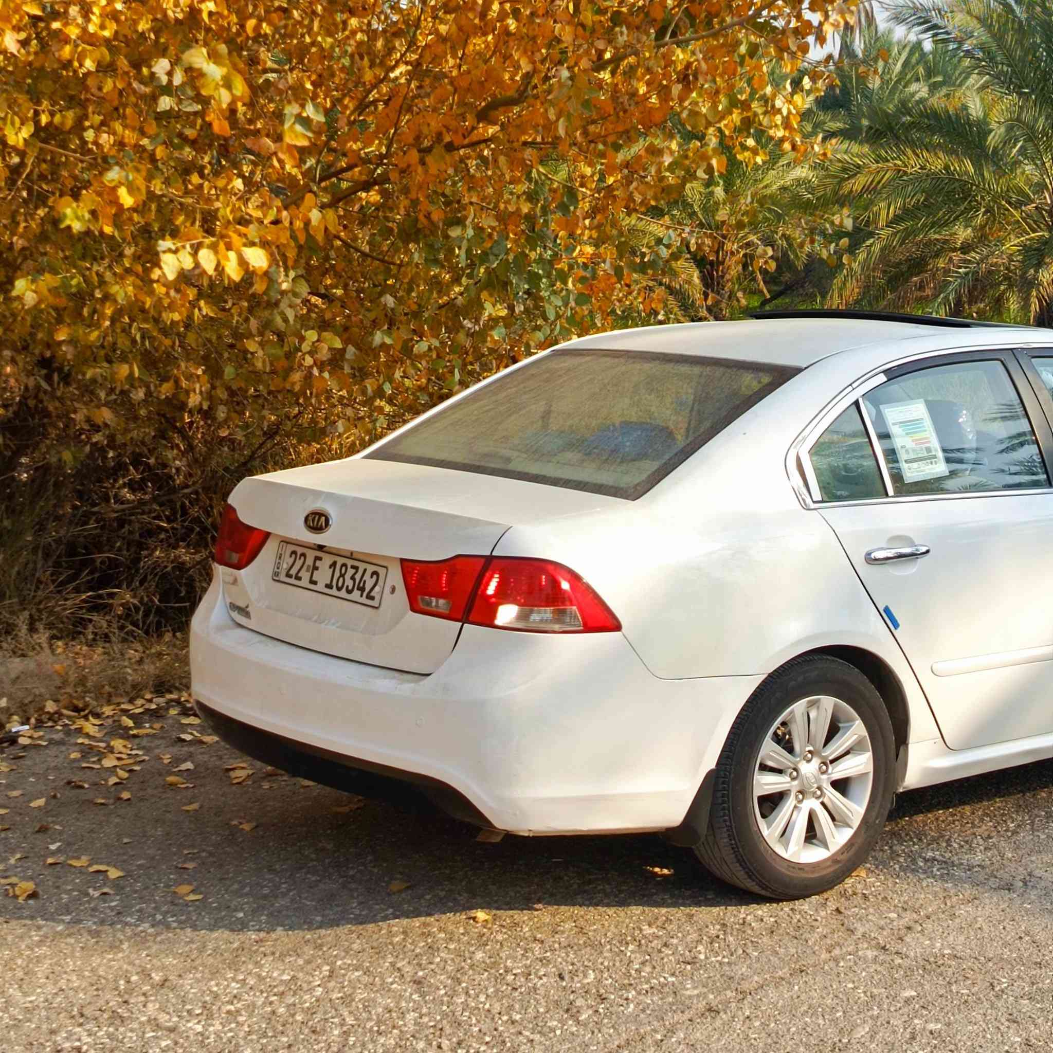 رقم اربيل بسمي تحويل او وكاله
مكينه كير كفاله حداديه تخم تاير ويل جديد غرفه نضيفه 

بيها 4قطع صبغ بدون دواخل السعر 110 مكاني بابل مسيب 

***********
