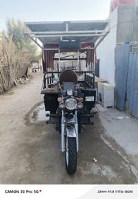 ستوته • سنويه 13 • جاهزه
