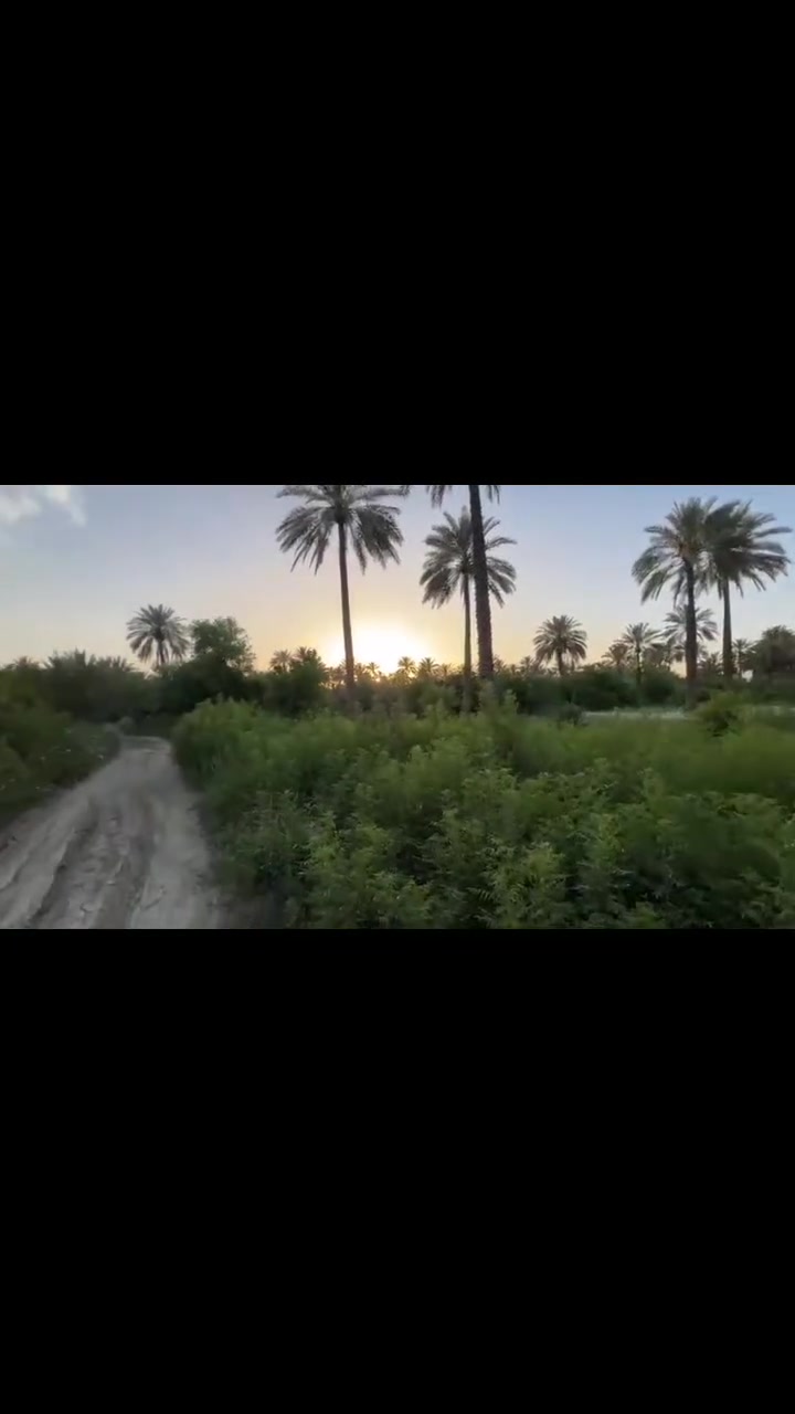 دونم طابو زراعي سند 25للبيع مكان واسط صويرة جويمسة

 الغربية قرب جسر الصويرة يبعد عن شارع العام 300م
اتصال 

 ***********
