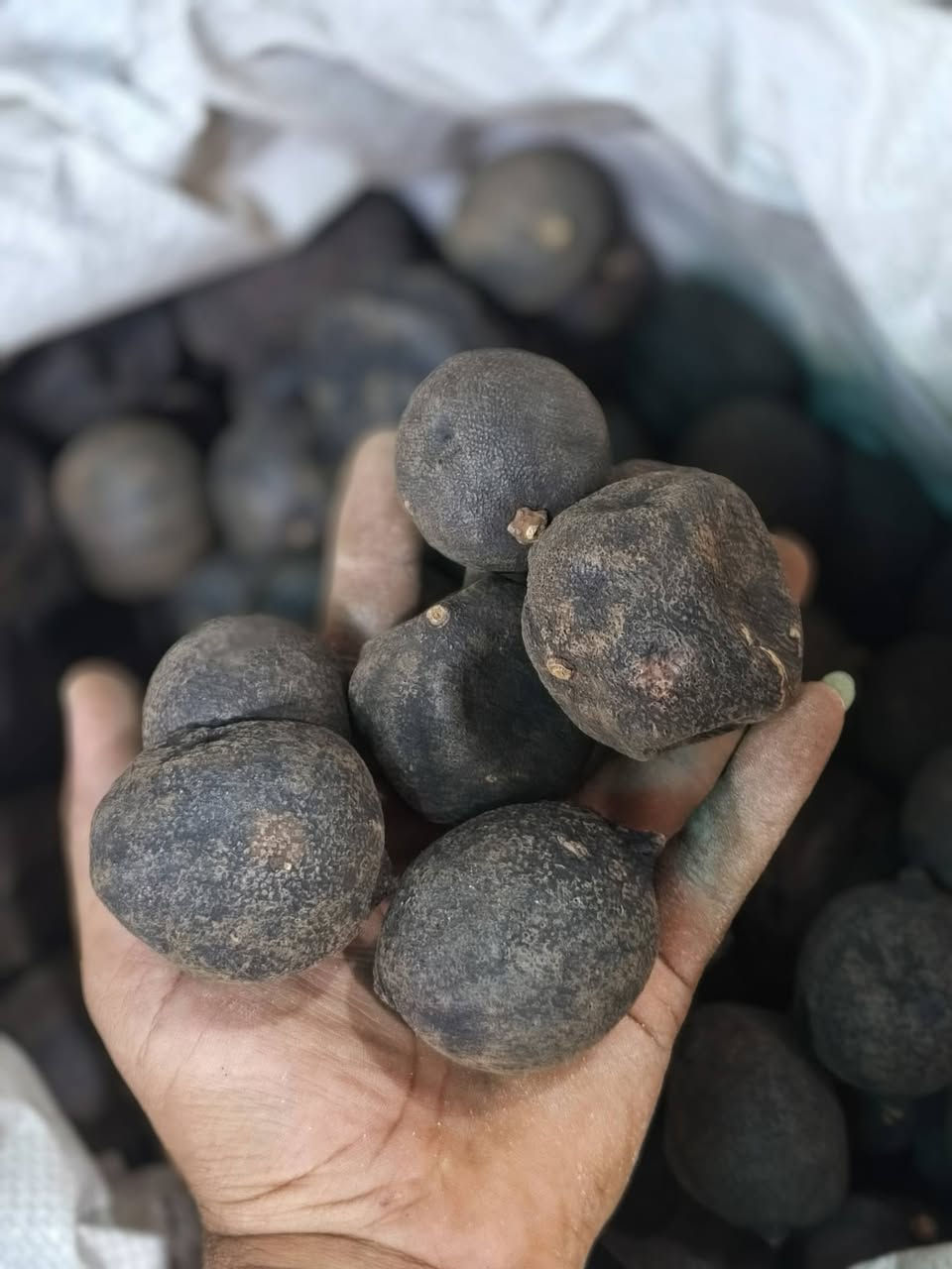 🔥 لا تدفع أكثر... وفر أكثر! 🔥

في غذائية أبو دشير جمعنالك الجودة والسعر المناسب حتى تشتري كل احتياجات بيتك وأنت مرتاح.

🥫 مواد غذائية متنوعة
🧴 منظفات أصلية
🛍️ أسعار منافسة
✅ خدمة بكل احترام

📍 زرنا اليوم وشوف الفرق بنفسك...
غذائية أبو دشير... لأن التوفير يبدأ من المكان الصحيح.

يتوفر توصيل جميع مناطق بغداد 

السعر تحت كل صورة 

العنوان / ابو دشير / السوق الشعبي / مقابل / لحوم ومشويات ماجد القصاب 

للحجز مراسلة الصفحة او الاتصال 
‏‪***********‬‏
