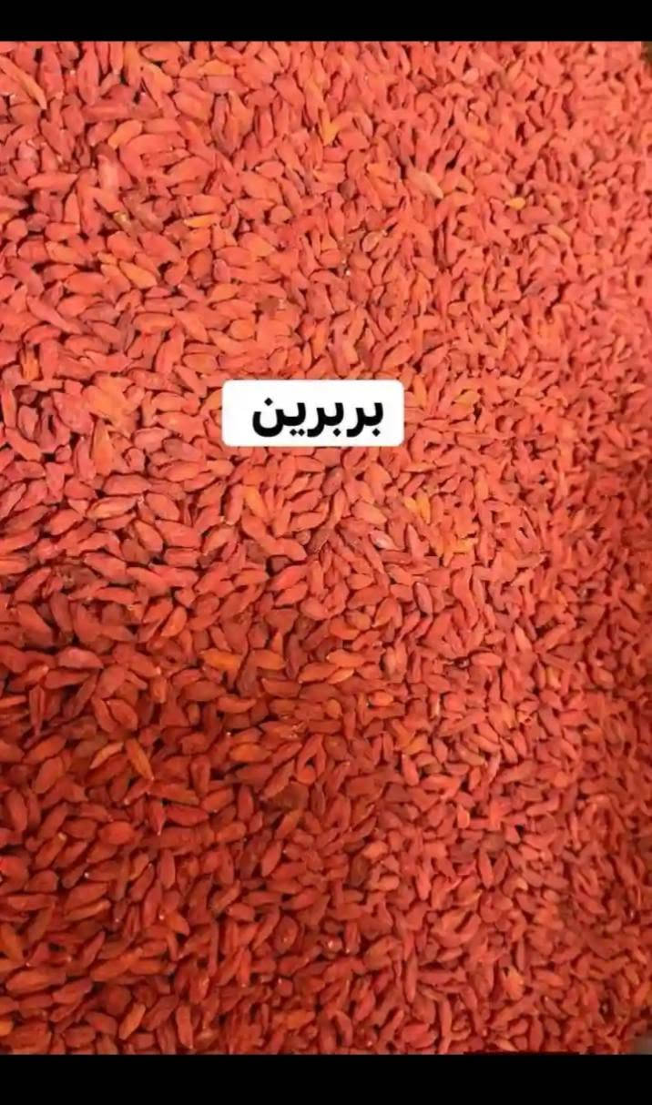 عطارية البركة بإدارة عامر 
لبيع كافة البهارات ولاعشاب والزيوت اسعار مناسبة عنوان المحل جنوب الموصل سوق قرية الجواعنةالشارع العام نهاية جسر الجنكو مقابيل صيدلية المدار بل قرب من سنتر الجدعة للمبايل واسواق ابو فراس الجوعاني يوجد خدمة توصيل لجميع المحافظات🌷للحجز ولاستفسار عل خاص 
او لاتصال واتساب ***********
