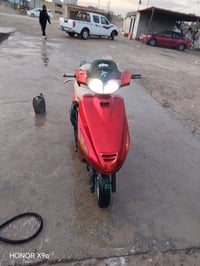 فراشة • فحل • الحمزه الشرقي