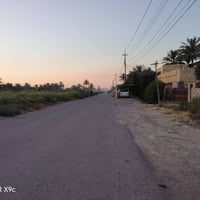 للبيع #دونم_2500متر المكان بغداد الراشدية قرب البحيرة #نوع العقار طابو...