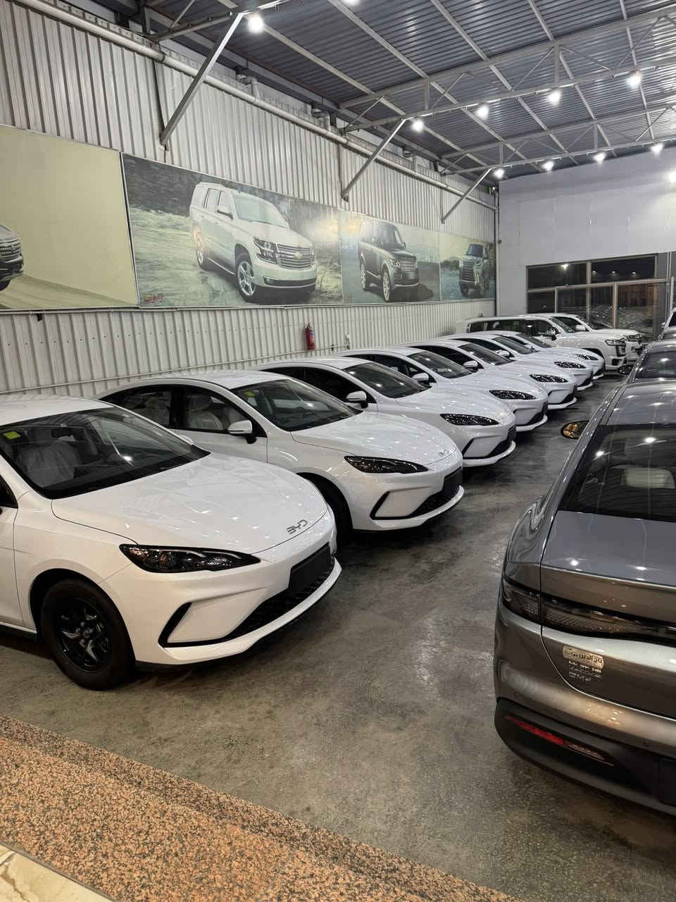 السلام عليكم يتوفر بي واي دي سيل 5 ودستروير نضام اقساط بدون كفيل مقدمه 70$ ورقه وشهري 500$ 
بغداد معارض البياع شركه تاج الدين
للاستفسار ***********
