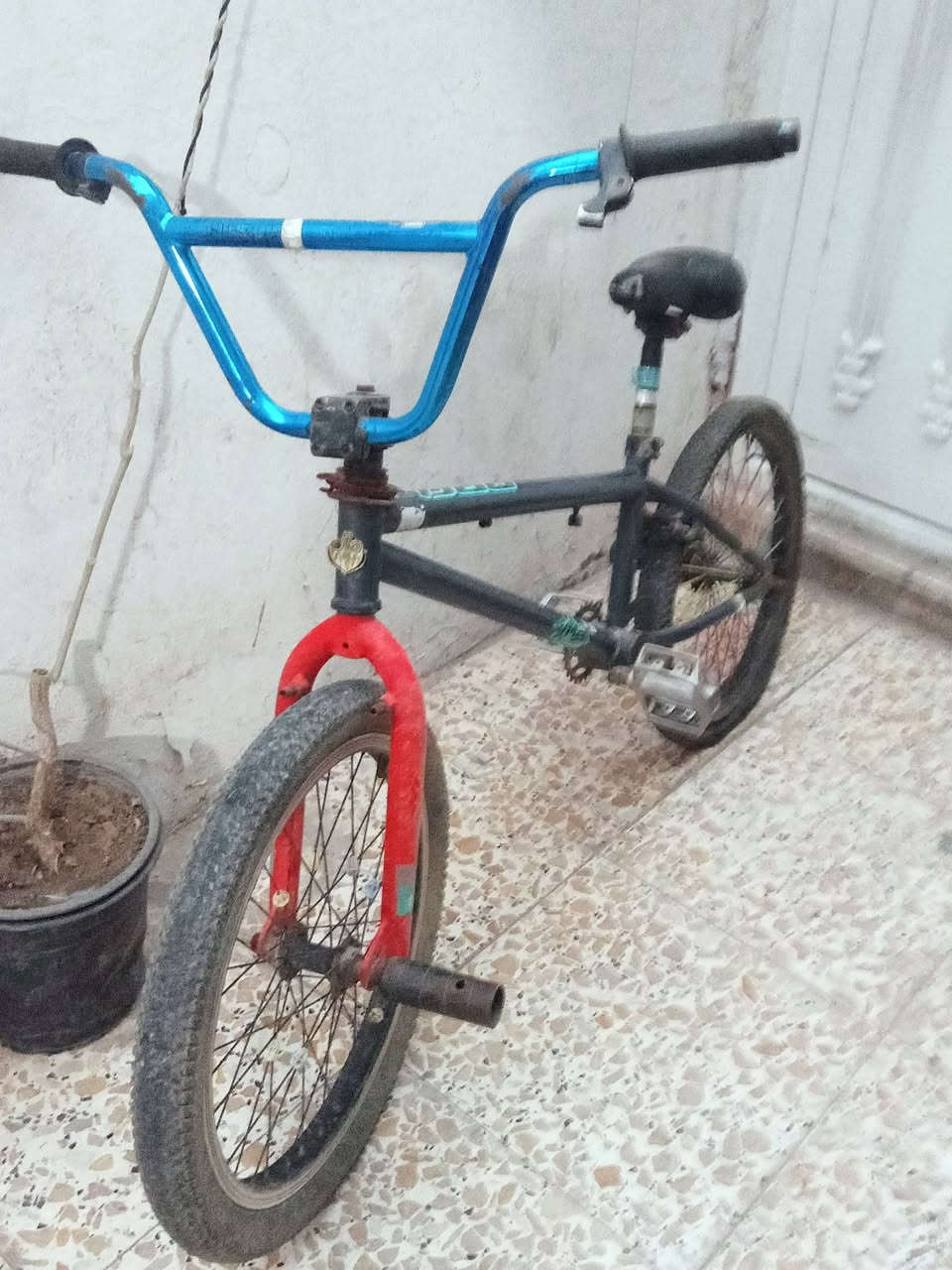 متاح اثنينهن ب 40


**إذا كنت صاحب هذا الإعلان وتريد حذفه لأي سبب، رجاءا أرسل رسالة إلى الدعم الفني**