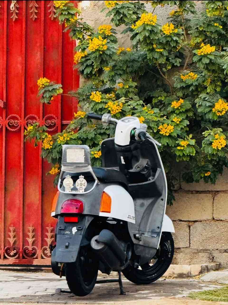 السلام عليكم
ماكس بوليسي للبيع فقط 
النضافه كدام عينك 
ماشيه ١٥ الف فقط 
شرط تفحص لا مفتوحه ترجعهه 
وين مايعجبك افحص 
كفاله مہَטּ كلشي مہَטּ كلشي 
السعر واحد(مليون) وبيهه مجال حك الجيه 
مكاني النجف الحيدريه خان النص عمود 555


**إذا كنت صاحب هذا الإعلان وتريد حذفه لأي سبب، رجاءا أرسل رسالة إلى الدعم الفني**