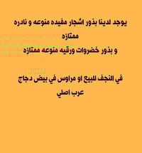 النجف • ديكور بيت • حدائق