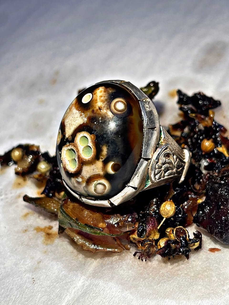 يا الله يا الله يا الله ( نفائس الداودي هندي عطف )
علوها بلصلاةة ع محمد وال محمد 🔥💙
#نحن_اهلها_اين_ما_كانت 
وحوش رععب فول يا فوول نوادر الداودي نوادر الزمان جوكر وفول روحانية عالية وخدمة عاليه🔥😈 
 
مشروط بضمان 
(محبة عامه نساء ورجال جداً قوية /جلب القلوب /تسيهلات عامة/جاة وجه وعقد لسان جدا قوي / دوائر دولة / منكل دواوين )

 كل تصاريف مفتوحة  شغل عععععام جوكر 🪨🔥🌪
من الياء ......للنون
سعر خاص واني خادم

اخوكم ايناس الموسوي 🔥
جبل الاحجار 🗻🌪🔥

للتواصل ***********
