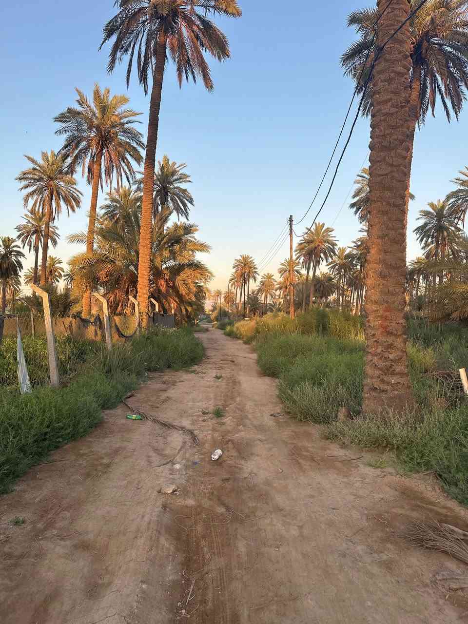 ‏السلام عليكم قطعة أرض زراعية في شارع أبو علي التميمي المساحة 100 متر ويوجد في الشارع كهرباء  وماء و مجاري و يوجد بناء في الشارع للبيع بسعر مناسب
للاستفسار: ***********
