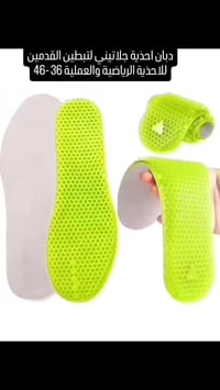 دبان سيليكون • ممتص صدمات • استخدام يومي