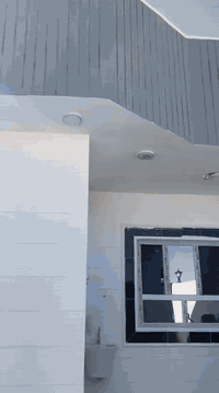 إعادة نشر بسبب الوعود الكاذبة
السلام عليكم ورحمة الله وبركاته 
بيت للبيع 🏠 المساحة 220 متر زراعي 
المنطقة كفاح الجنوبي شارع المطار 
 قرب مدرسة المختار الابتدائية 🏫 
( بيت جديد )
تفاصيل البيت 
غرفتين نوم ×2 
هول 
مطبخ حار وبارد 
استقبال 
منور عدد 2 
بيتونة ومخزن سوه يعني غرفة فوك سطح 
كراج وحديقة
منطومة كاميرات مخفي مع رواتر انترانيت 
كهرباء ومولدة وماء حلو وبير 
يعني جاهز من كل نواحي 
الشراي استفسار اتصل  عبر الارقام 
 ***********
