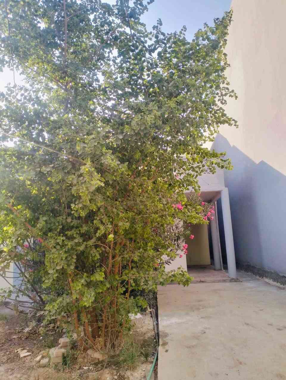 بيت للأيجار المساحة 500متر
موقع البيت بعقوبة التحرير حي الاوقاف مقابل معهد الفنون الجميلة مجاور منتزه التحرير البيت يحتوي على 7غرف وطابقيين ويحتوي على كراج يتسع ثلاث سيارات البيت مرمم جديد يحتوي على حمام وصحيات داخليات وحمام وصحيات خارجية ومقابل البيت حدائق واسعه كما موضح في الصور البيت يرهم لعائله ولمخزن أو لمدرسة أو لروضه أو لمكتب وفيه حديقه داخليه واسعه والبيت لا يتأثر بل امطار نهائيآ لانه عالي عن الشارع الرقم للتواصل والاستفسار /***********
