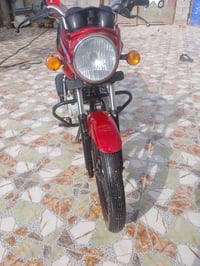 بوكسر • جديدة • النصر