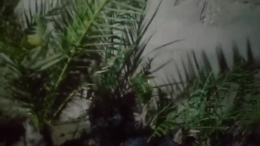 السلام عليكم موجود فسائل نخل اشويثي اصفر امجذر وبي مجموعه جذريه كامله


**إذا كنت صاحب هذا الإعلان وتريد حذفه لأي سبب، رجاءا أرسل رسالة إلى الدعم الفني**