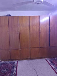 كنتور • خشب قوي • جديد