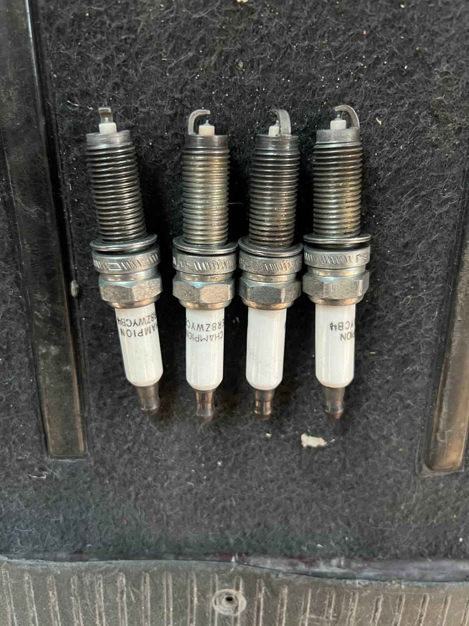 بلكات حاويه شابيون أمريكي جارجر اوبامه سعر التخم 8الف يوجد توصيل جميع محافضات العراق  رقم واتساب ***********
