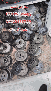 معرض الامير 07708680482 07755455909  كلج خلفي 140 عام  سكنس. ثعلب. بري...