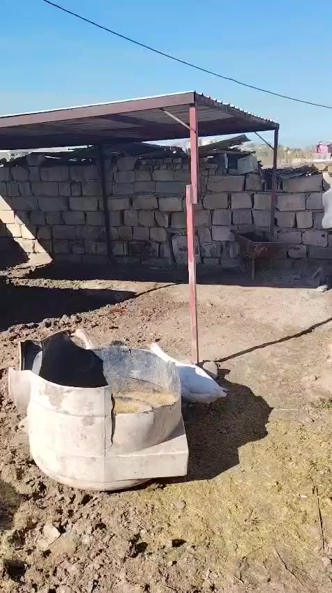 السلام عليكم ورحمة الله وبركاته متاح زوج وزات ذكر ونثيه للبيع مكان بغداد التاجي قرب السلاميات بيع فقط اتصل عالرقم *********** ستار ابو محمد وتحياتي للجميع
